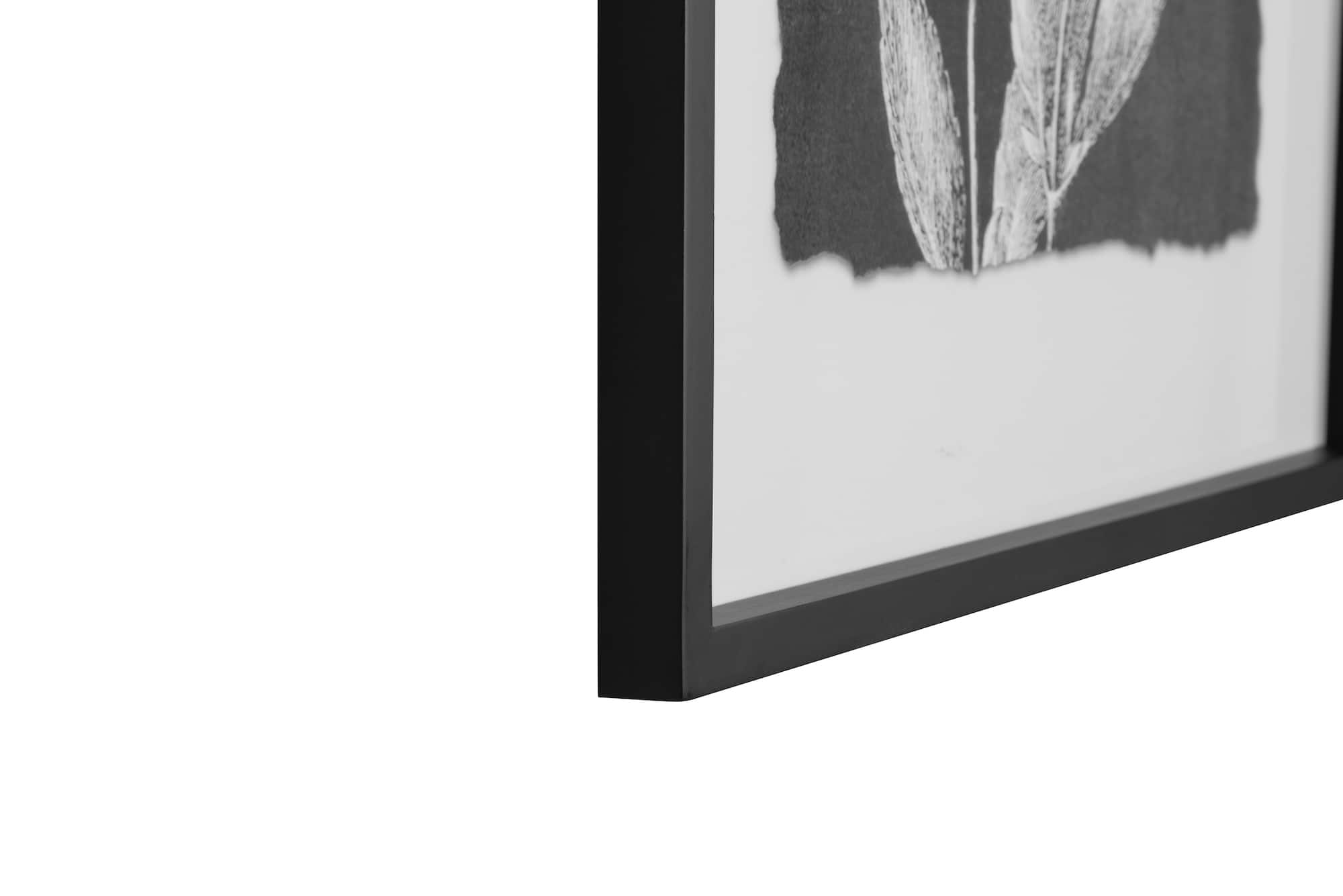 Hello Honey® Black and White Botanical Print Wall Décor with Glass and Wood Frame Set